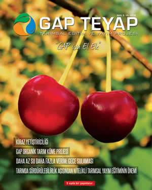 GAP TEYAP Dergisi Temmuz 2016