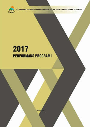 2017 Performans Programı