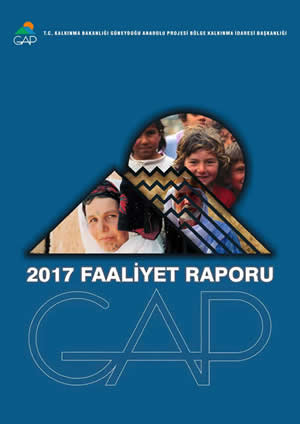 2017 Yılı Faaliyet Raporu