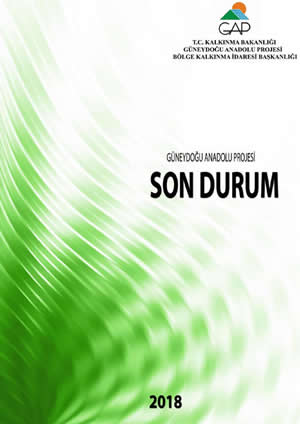 2017 GAP Son Durum