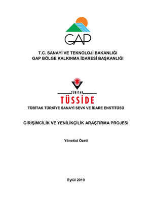 Girişimcilik ve Yenilikçilik Araştırma Projesi Özet Raporu
