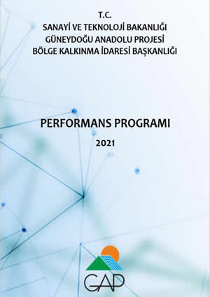 2021 Performans Programı