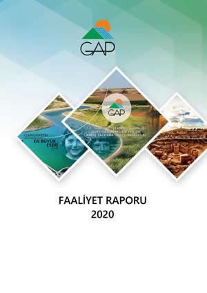 2020 Yılı Faaliyet Raporu
