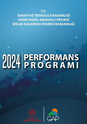 2024 Performans Programı