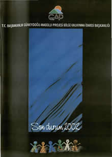 2002 GAP Son Durum