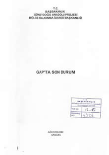 2003 GAP Son Durum