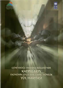 Güneydoğu Anadolu Bölgesi’nde Kadınların Ekonomik Güçlenmelerine Yönelik Yol Haritası