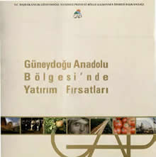 Güneydoğu Anadolu Bölgesinde Yatırım Fırsatları