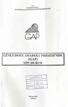 2007 GAP Son Durum