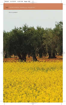 Güneydoğu Anadolu Rehberi (Kilis)