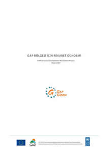 GAP Bölgesi İçin Rekabet Gündemi