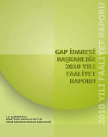 2010 Yılı Faaliyet Raporu