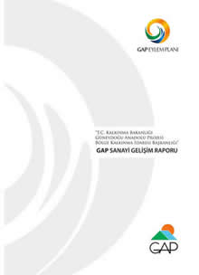 GAP Sanayi Gelişim Raporu