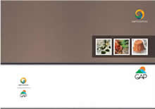 South-Eastern Anatolian Cuisine