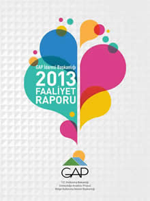 2013 Yılı Faaliyet Raporu