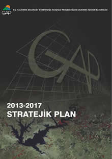 Stratejik Plan 2013-2017