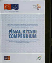 Kadınların ve Kadın STK’larının Güçlendirilmesi Projesi Final Kitabı/Compendium