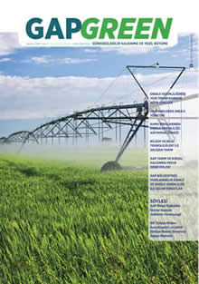 GAP GREEN Dergisi Agustos 2014