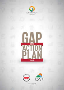 GAP Action Plan