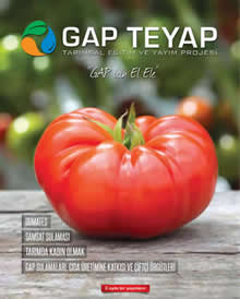 GAP TEYAP Dergisi Nisan 2016