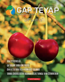 GAP TEYAP Dergisi Temmuz 2016