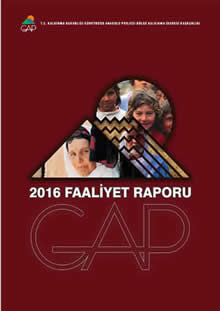 2016 Yılı Faaliyet Raporu