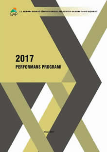 2017 Performans Programı