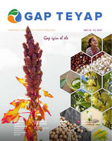 GAP TEYAP Dergisi Eylül 2017