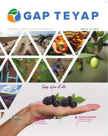 GAP TEYAP Dergisi Aralık 2017