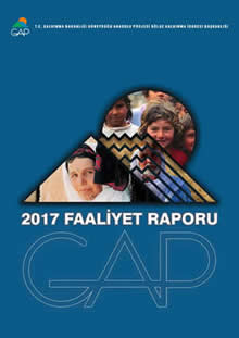 2017 Yılı Faaliyet Raporu