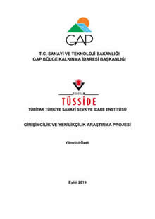 Girişimcilik ve Yenilikçilik Araştırma Projesi Özet Raporu
