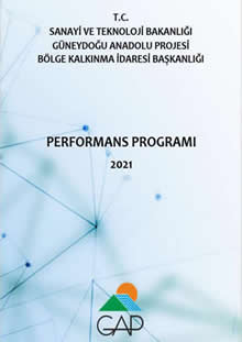 2021 Performans Programı