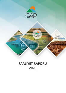 2020 Yılı Faaliyet Raporu