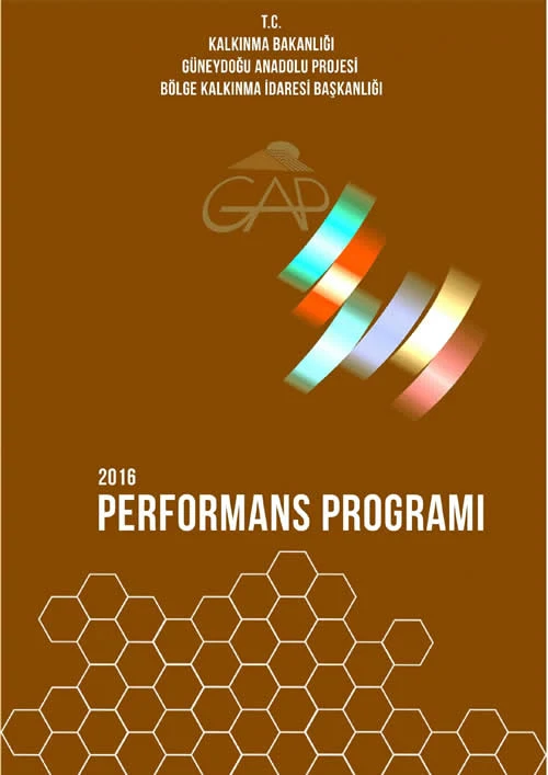 2016 Performans Programı
