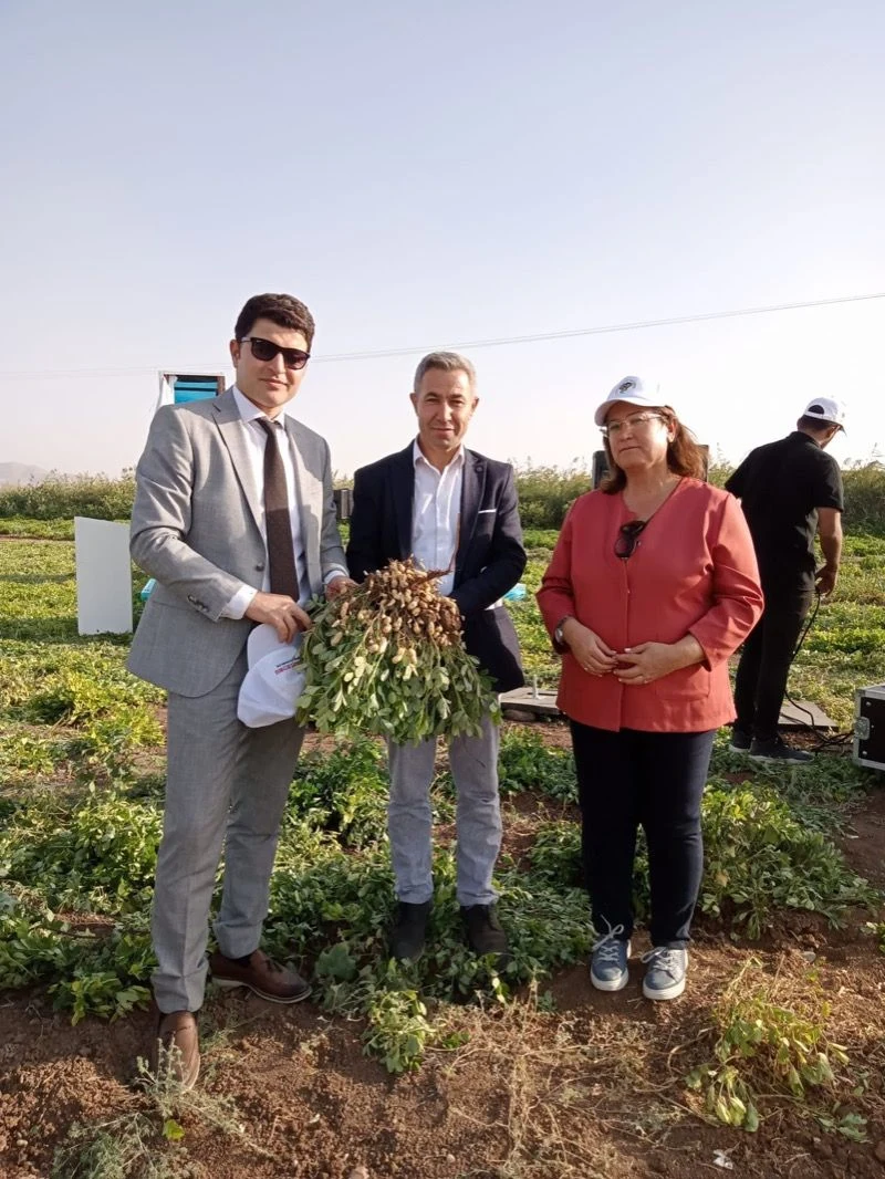 Yer Fıstığı Hasat Şenliği Silopi’de Gerçekleştirildi