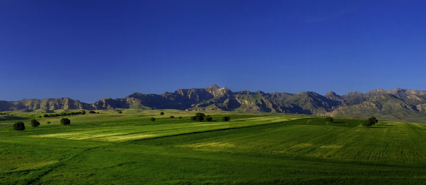 Şırnak