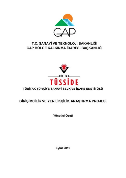 Girişimcilik ve Yenilikçilik Araştırma Projesi Özet Raporu