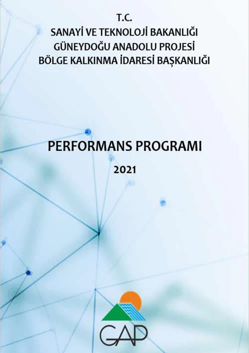 2021 Performans Programı