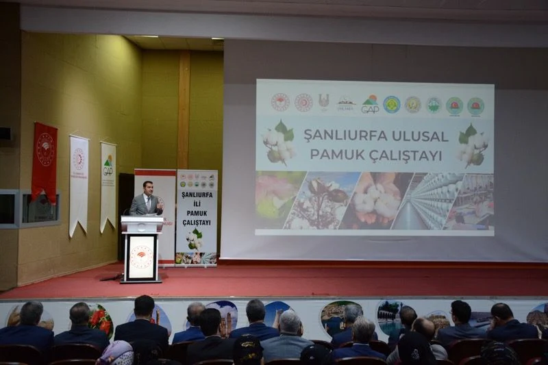 Ulusal Pamuk Çalıştayı Şanlıurfa’da Gerçekleştirildi