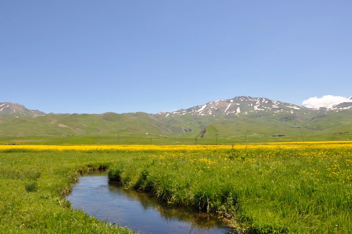 Şırnak