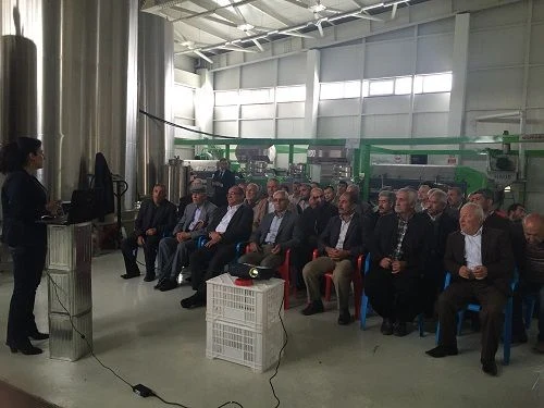 Zeytin Üreticilerine Zeytin Yetiştiriciliği Eğitimi Verildi