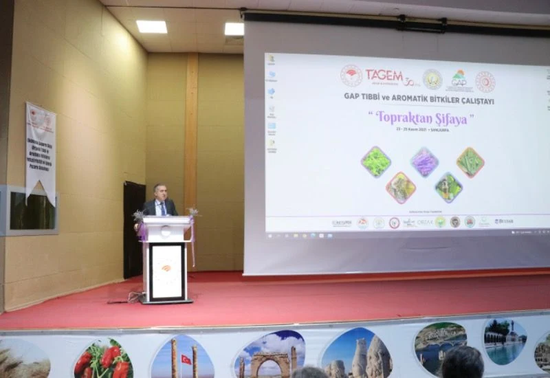 GAP Tıbbi ve Aromatik Bitkiler Çalıştayı “Topraktan Şifaya” Teması ile Şanlıurfa’da Gerçekleştirildi