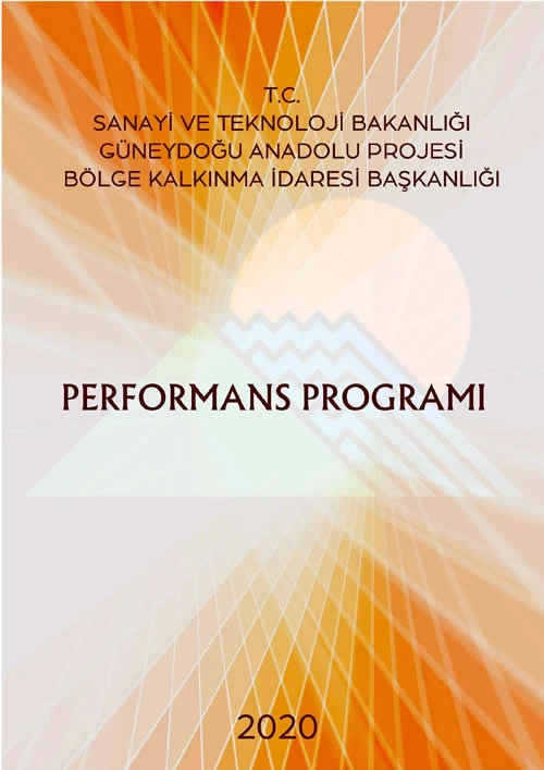 2020 Performans Programı