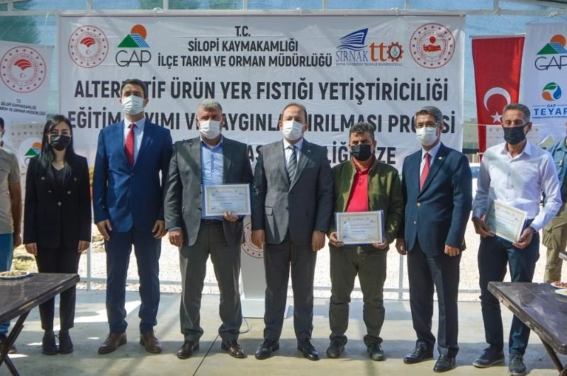 Silopi’de Yer Fıstığının Markalaşma Serüveni Başlıyor