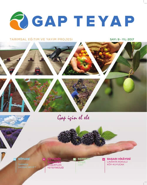 GAP TEYAP Dergisi Aralık 2017
