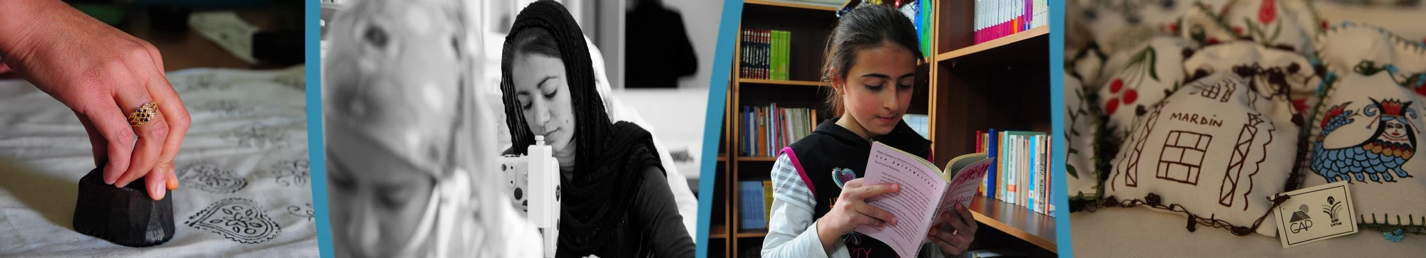 GAP Sosyal Araştırma ve Eylem Planı Uygulamaları Programı