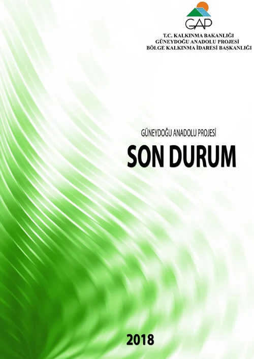 2017 GAP Son Durum