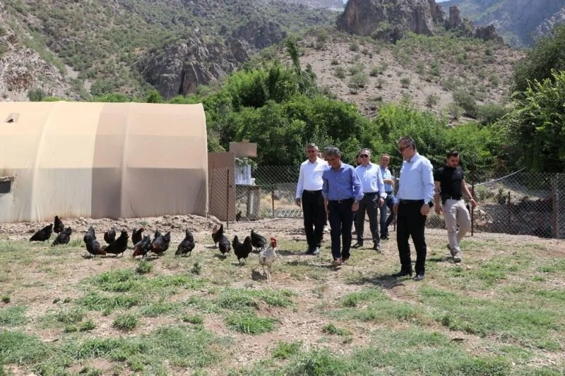 Başkan V. Mehmet AÇIKGÖZ ve Beraberindeki Heyet, “GAP ile Kırsal Yaşamın ve Verimliliğin Artırılması” Proje Alanını Ziyaret Etti