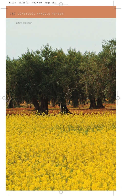 Güneydoğu Anadolu Rehberi (Kilis)