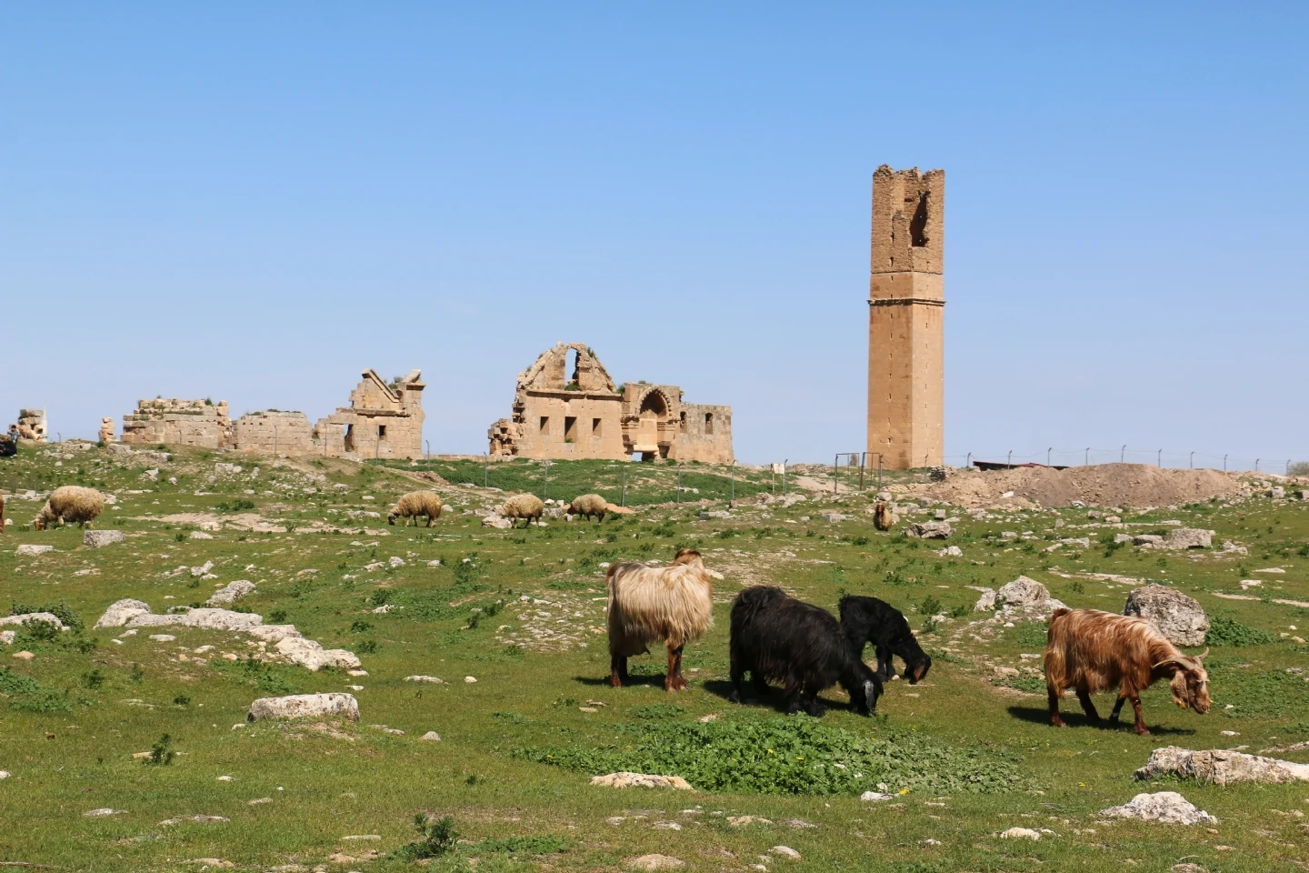Şanlıurfa